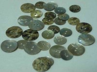 Shell buttons
